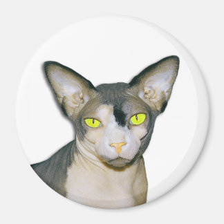 Sphynx Cat Ninja White Round Magnet