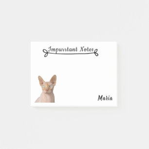 Sphynx Cat. Post-it Notes