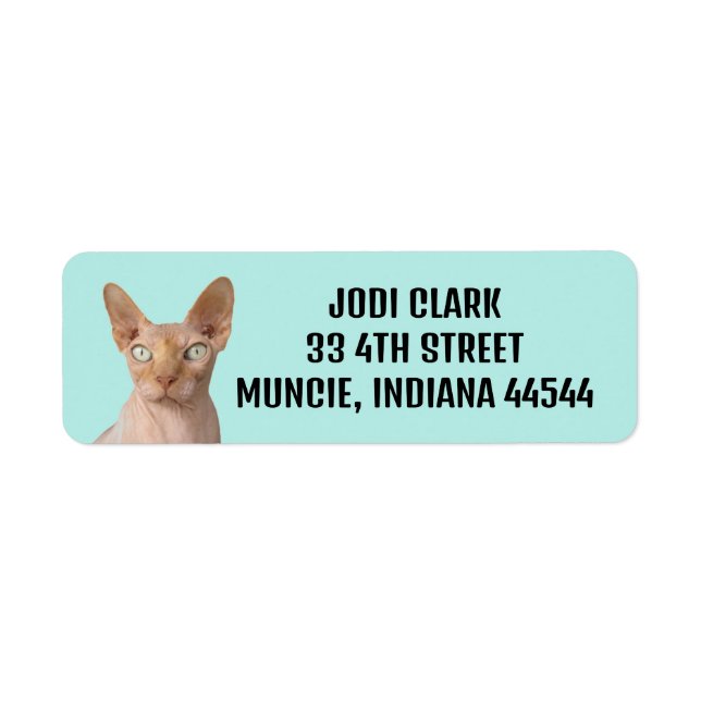 SPHYNX CAT RETURN ADDRESS LABELS (Front)