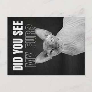 Sphynx Cat Sarcastic Fur Humor Illustration Postcard