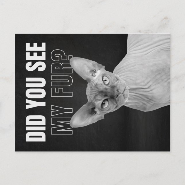 Sphynx Cat Sarcastic Fur Humor Illustration Postcard (Front)