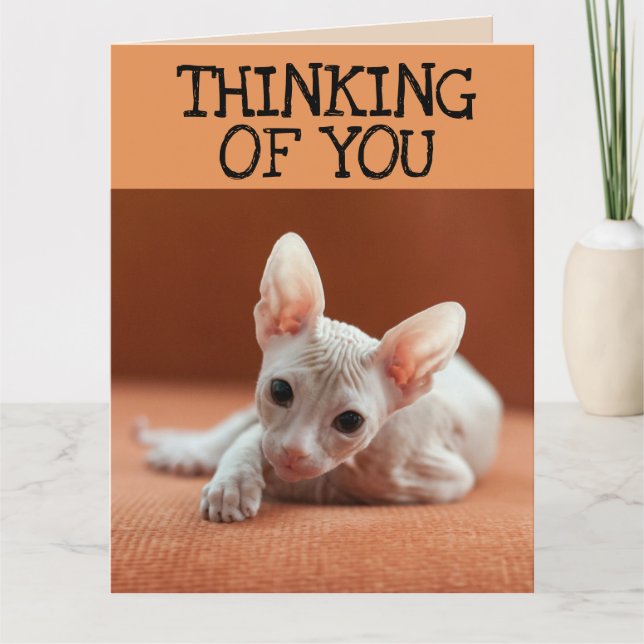 SPHYNX CAT THINKING OF YOU GREETING CARD (Front)