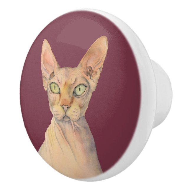 Sphynx Cat Watercolor Portrait Ceramic Knob (Right)