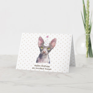 Sphynx Cat with Party Hat Card
