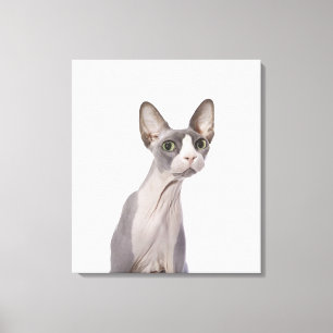 Sphynx Cat with surprised expression Canvas Print