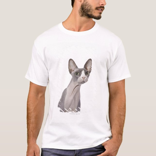 Sphynx Cat with surprised expression T-Shirt (Front)