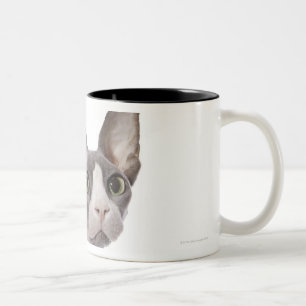 Sphynx Cat with surprised expression Two-Tone Coffee Mug