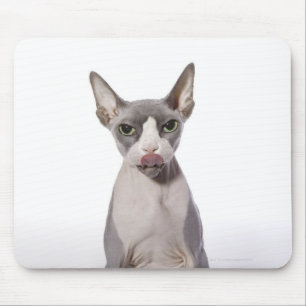 Sphynx Cat with tongue out Mouse Pad