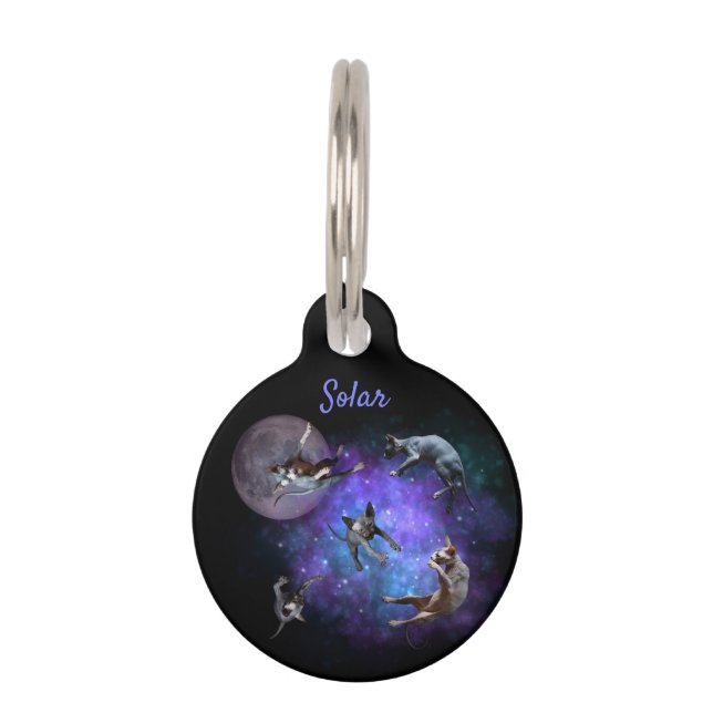 Sphynx Cats in Space Floating Kittens Pet Tag (Front)