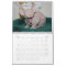 Sphynx Cats Wall Calendar | GoSphynx.com