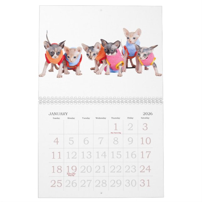 Sphynx Cats Wall Calendar | GoSphynx.com (Jan 2026)