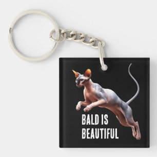 Sphynx Chat Bald est magnifique