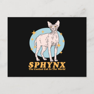 Sphynx Coolest Cat   Sphynx Cats Postcard