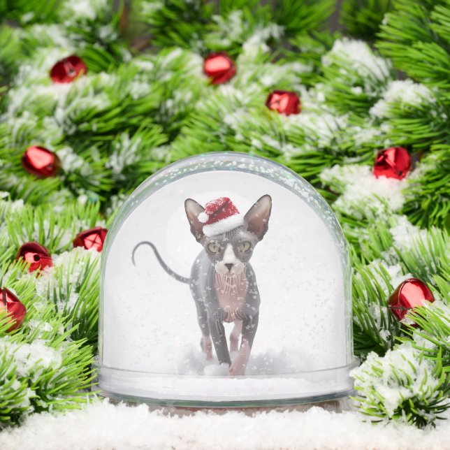 Sphynx gris et blanc Noël Chat (Noël)