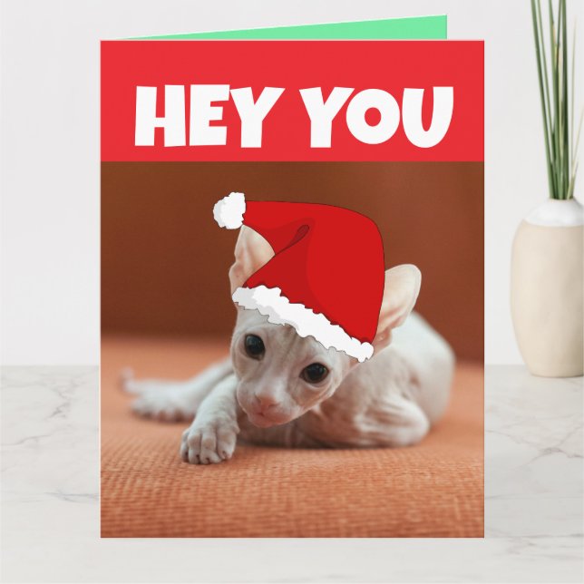  SPHYNX HAIRLESS CAT KITTEN CHRISTMAS CARD (Front)