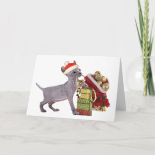 Sphynx Kitten ChristmasCards Holiday Card
