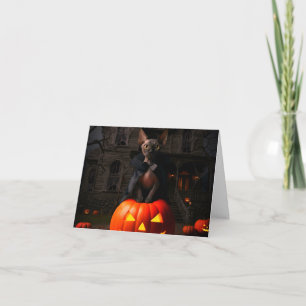 Sphynx Kitten Dracula Halloween Card