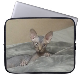 Sphynx Kitten Laptop Sleeve