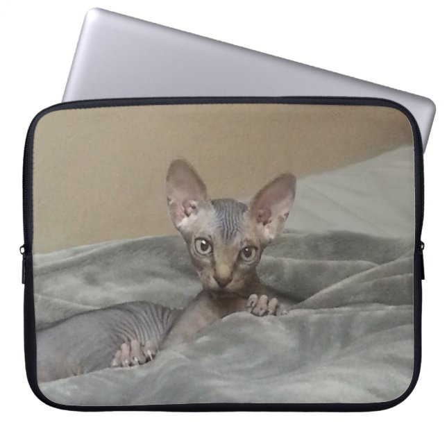 Sphynx Kitten Laptop Sleeve (Front)