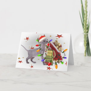 Sphynx Kitten Plays With Christmas Ornamants Cards