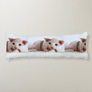Sphynx kitten.png body pillow