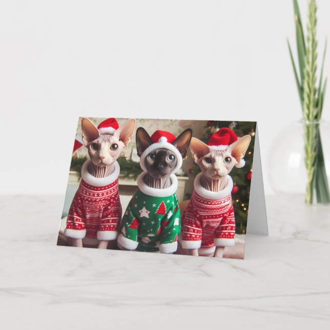 Sphynx Kittens Christmas Holiday Card (Front)