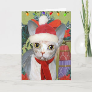 sphynx Purrfect Christmas Holiday Card