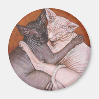 Sphynx Sphinx Cat Cats Nap Time Magnet