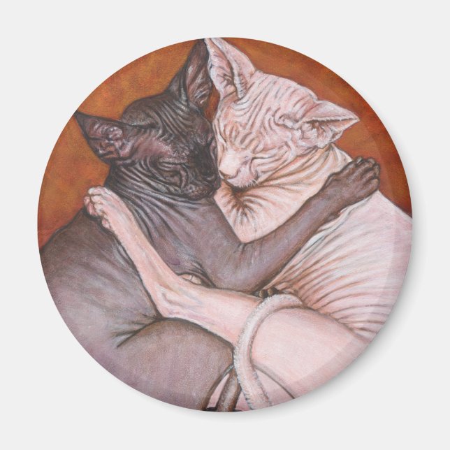 Sphynx Sphinx Cat Cats Nap Time Magnet (Front)
