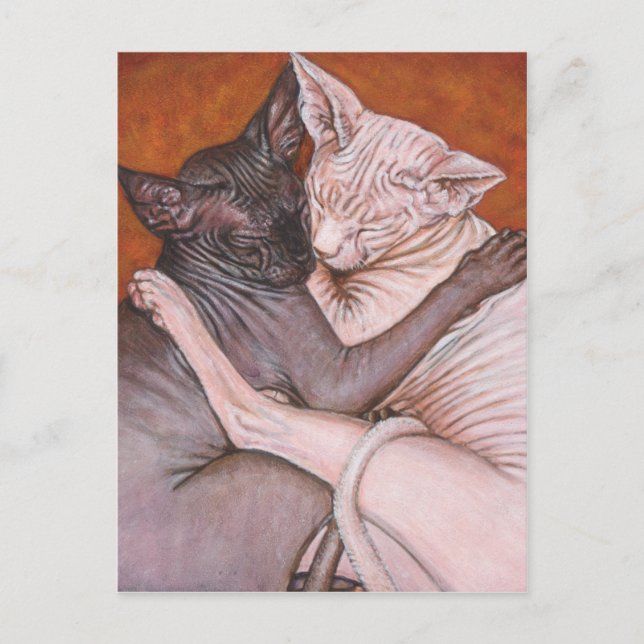 Sphynx Sphinx Cat Cats Nap Time Postcard (Front)