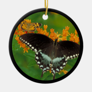 Spicebush Swallowtail Butterfly Ceramic Ornament