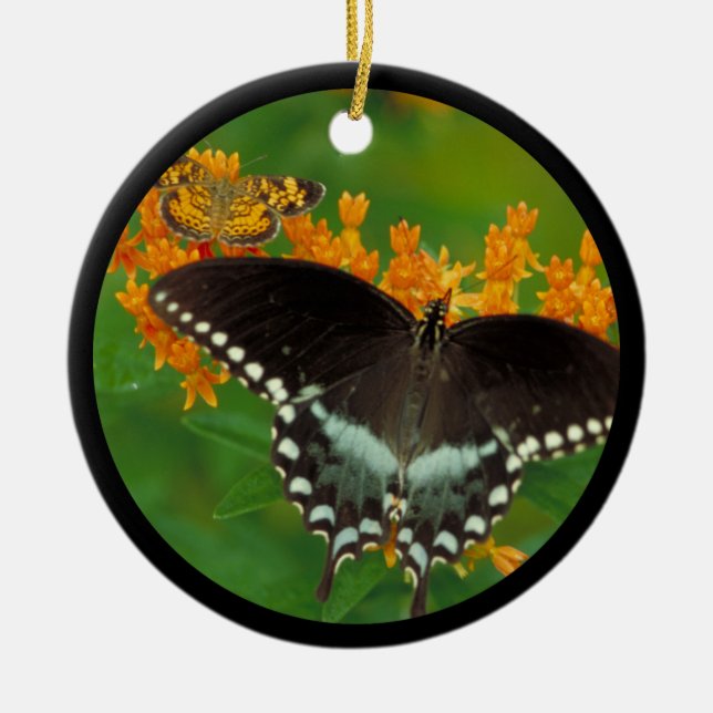 Spicebush Swallowtail Butterfly Ceramic Ornament (Front)