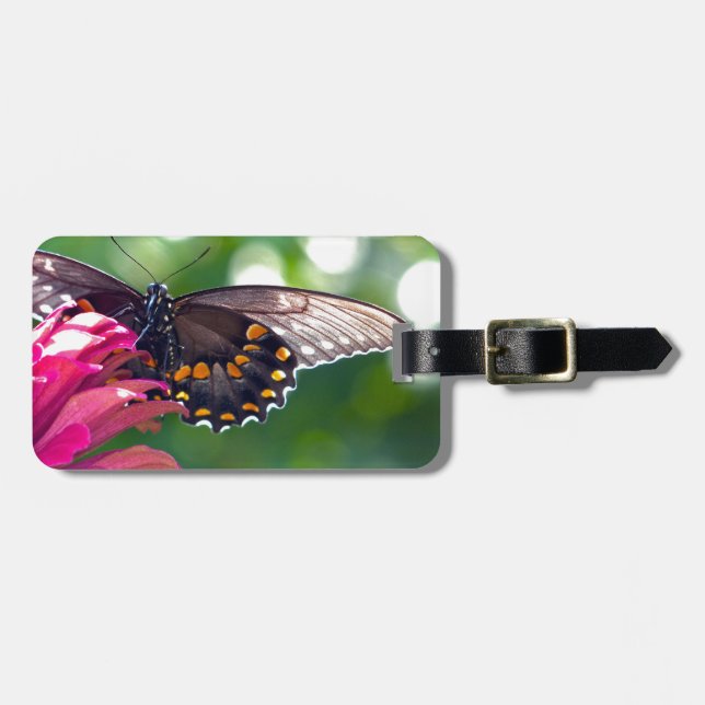 Spicebush Swallowtail Luggage Tag (Front Horizontal)