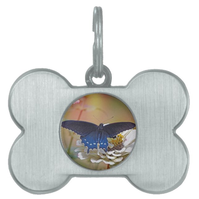 Spicebush Swallowtail Pet Tag (Front)