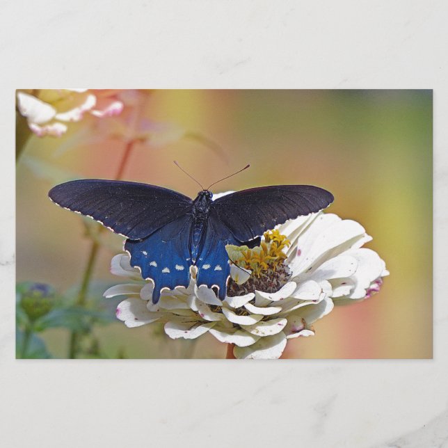 Spicebush Swallowtail Stationery (Front)