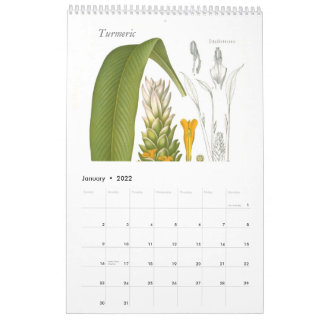 Spices 2015 calendar