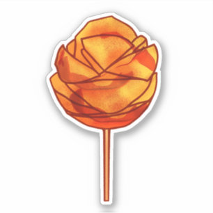 Spicy Mango On A Stick