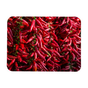 Spicy Red Chili In The Town Of Kalocsa Magnet