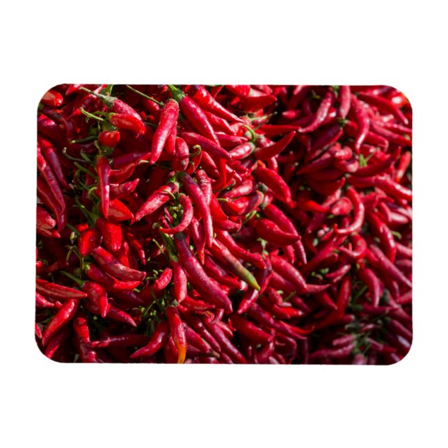 Spicy Red Chili In The Town Of Kalocsa Magnet (Horizontal)