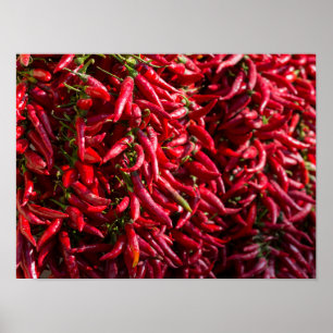 Spicy Red Chili In The Town Of Kalocsa Poster