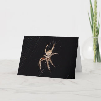 Spider 0361 card