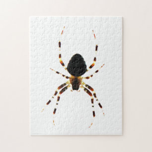 Spider 11x14 252pc jpcnm jigsaw puzzle