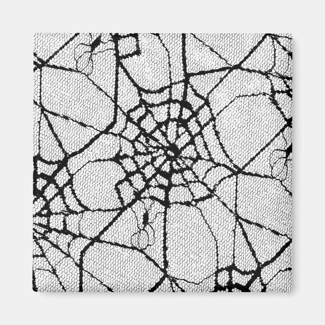 spider 1 magnet (Front)