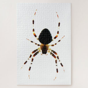 Spider 20x30 1014pc jpcna jigsaw puzzle