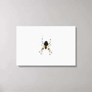 Spider 24x16 (60x40cm) waccna canvas print
