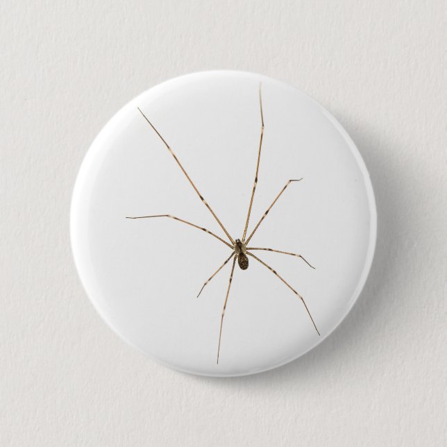 Spider 2 Inch Round Button (Front)