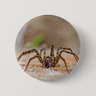 spider a 2 inch round button