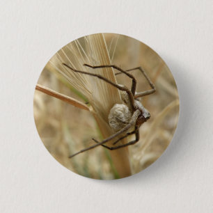 Spider and Egg Sac Button