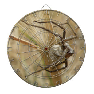 Spider and Egg Sac Dart Board