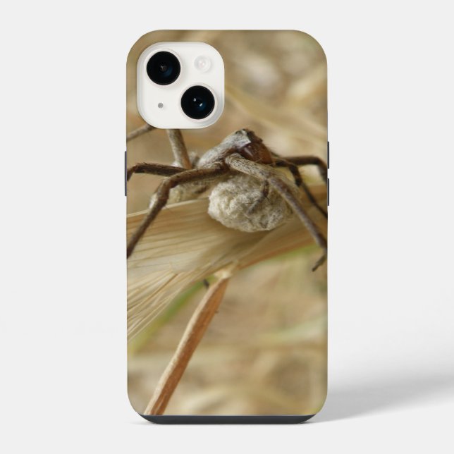 Spider and Egg Sac iPhone Case (Back)